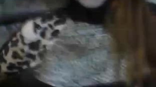 Домашнее - русские секс видео онлайн